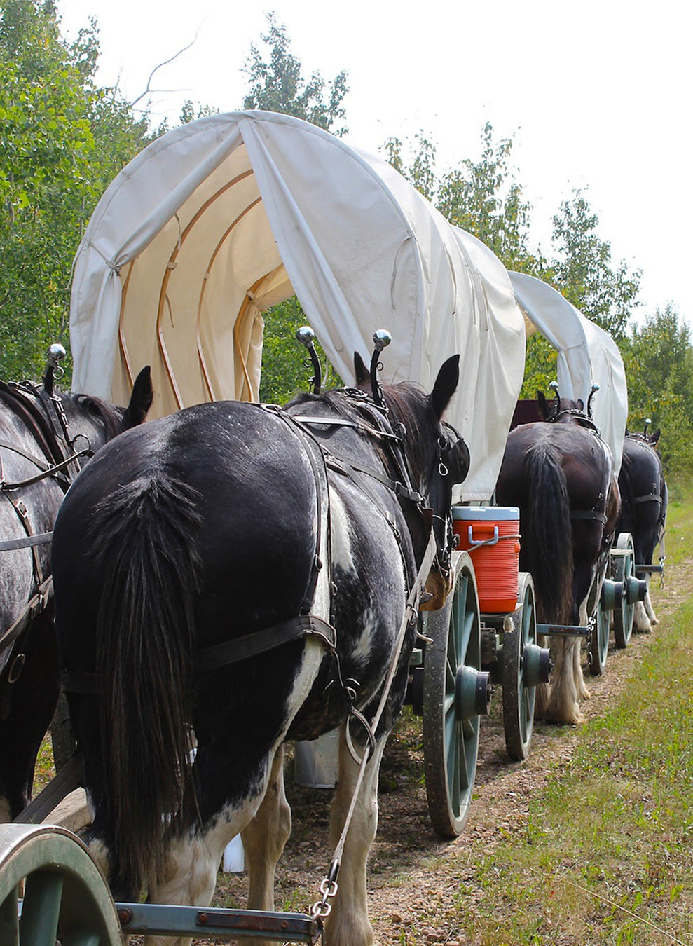 Circle the Wagons in the Badlands of Alberta, Canada TravelWorld