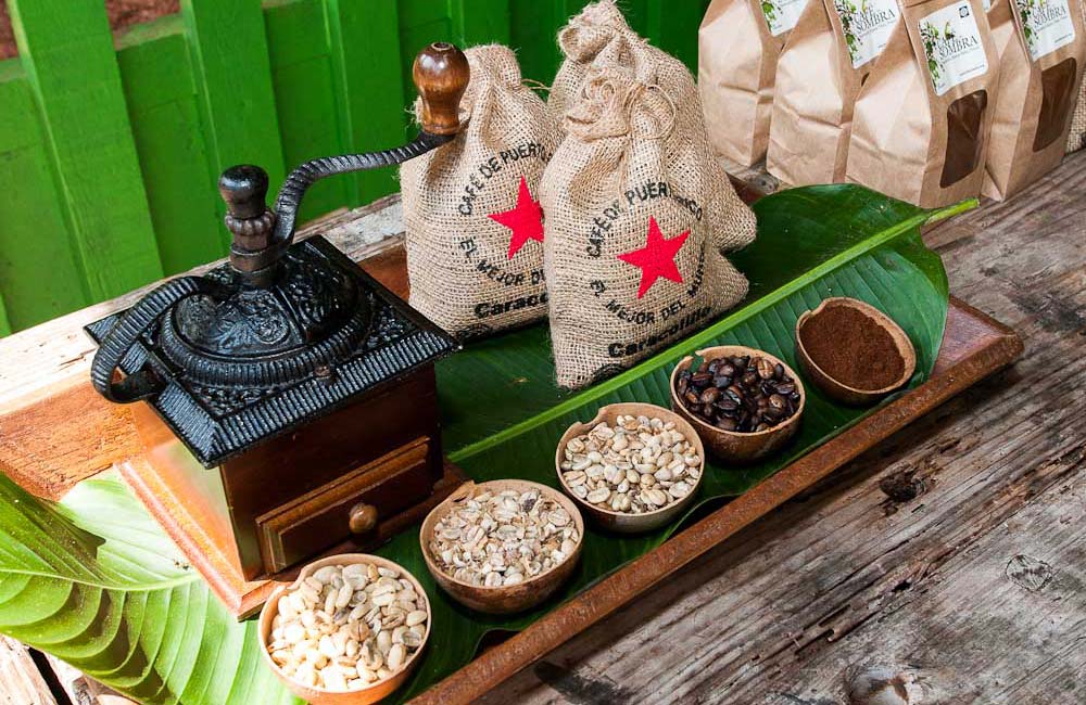 coffeebeanshaciendabuenavistapuertorico TravelWorld
