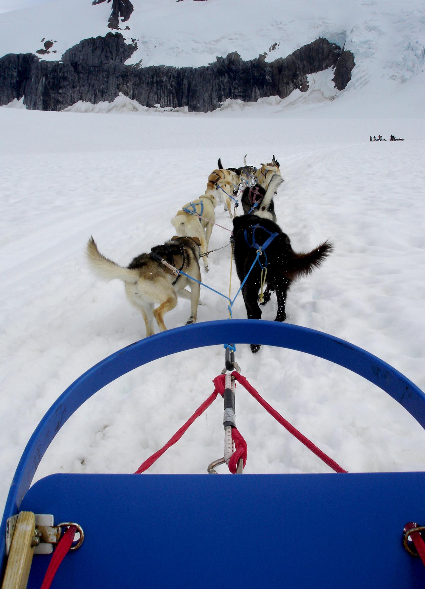 dog sledding on an alaskan glacier