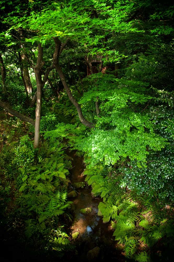 Ode to a Tokyo Garden - TravelWorld International Magazine