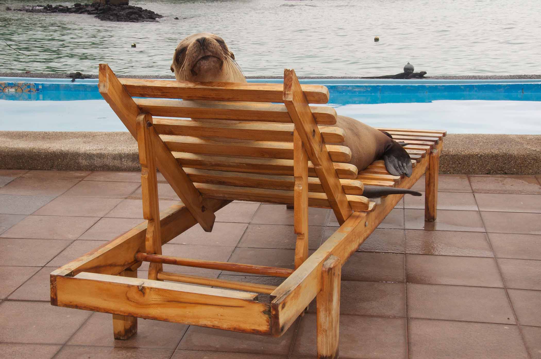 Amazing Galapagos - TravelWorld International Magazine