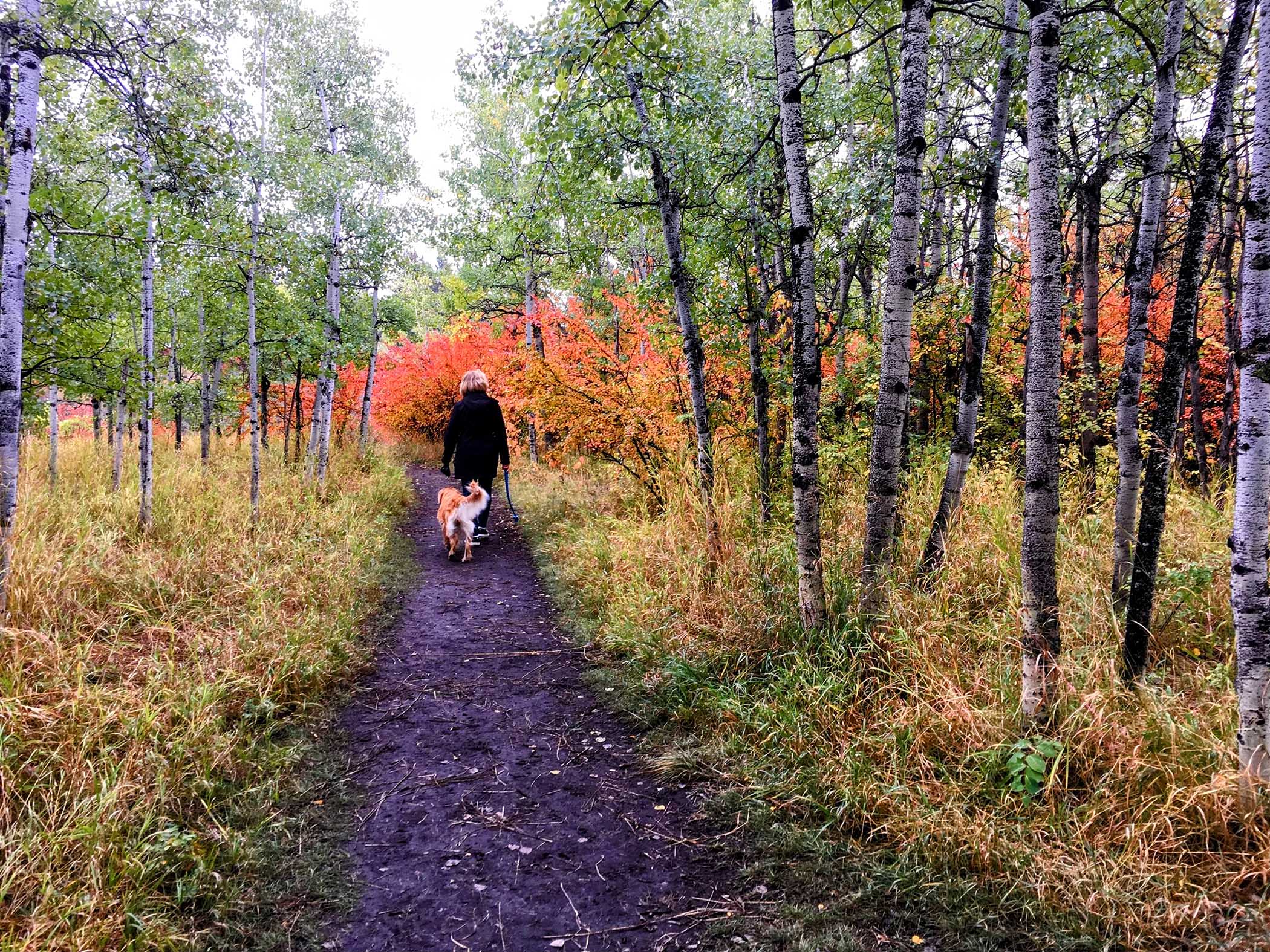10 Places You Should Visit this Fall in Calgary, Canada