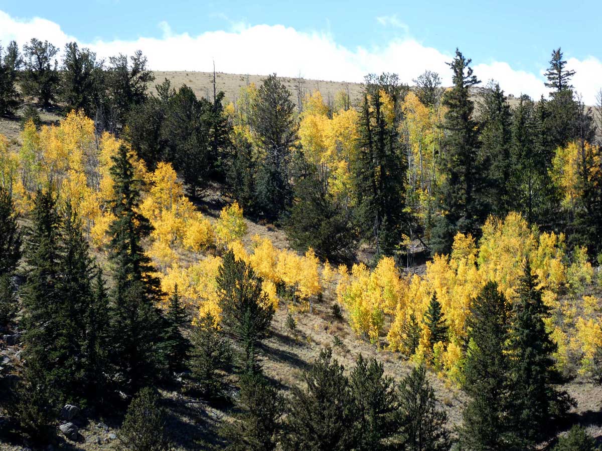 Exploring the Front Range of Colorado: Isabella Bird’s Footsteps ...